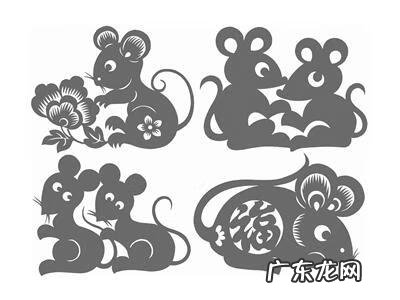 家里有老鼠风水学上怎么解释 风水中老鼠说法是什么