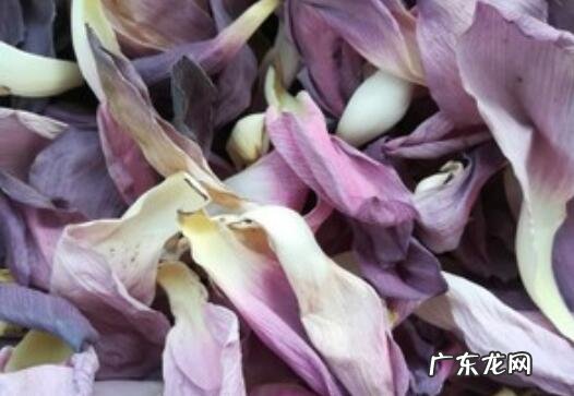 荷花瓣泡水喝的功效与作用