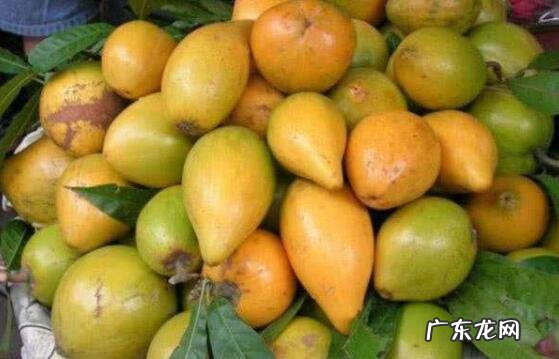 十大最难吃的水果