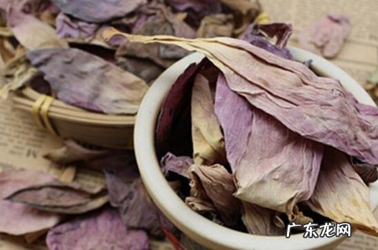 荷花泡水的功效与作用