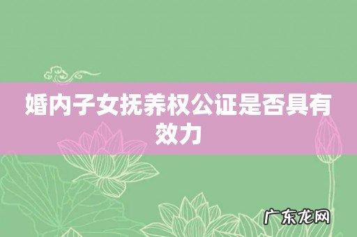 婚内子女抚养权公证是否具有效力