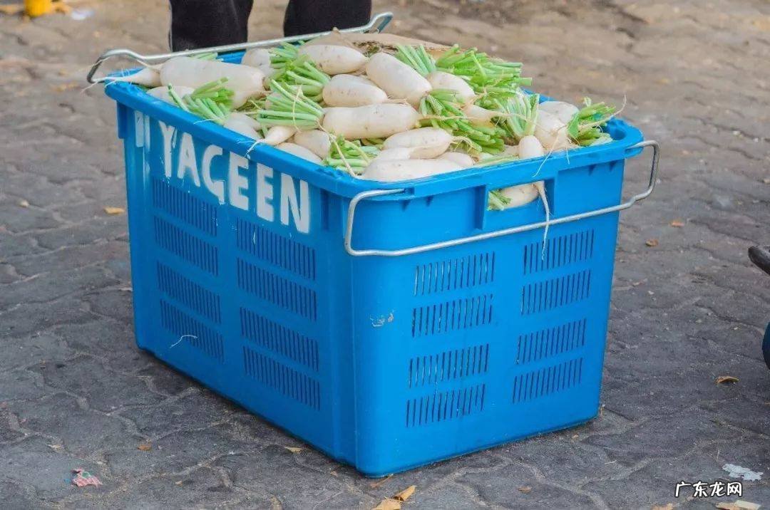 有靠谱的清肺食物吗?