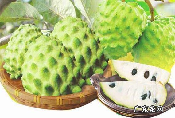 番荔枝和释迦的区别 吃番荔枝的好处