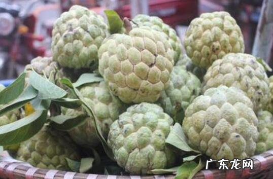 番荔枝和释迦的区别 吃番荔枝的好处