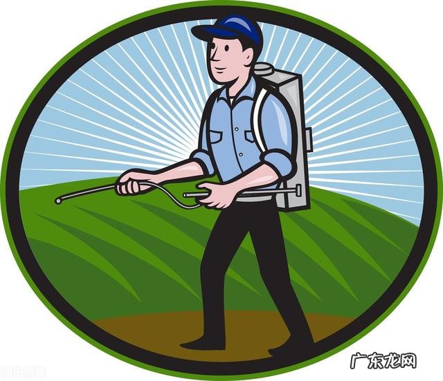 如果粮食涨到每斤6元，农村人就不会安心出去打工种地了吗？