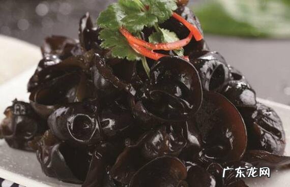 芥末木耳的功效与作用有哪些