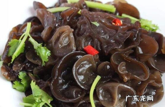 芥末木耳的功效与作用有哪些