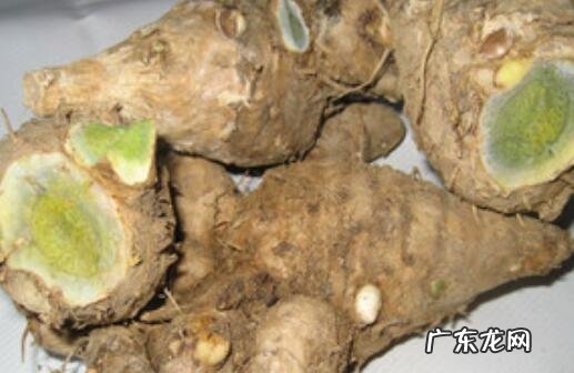 乌姜怎么吃 乌姜的食用方法