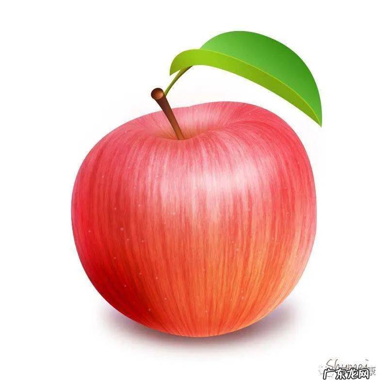 苹果的功效作用及食用禁忌