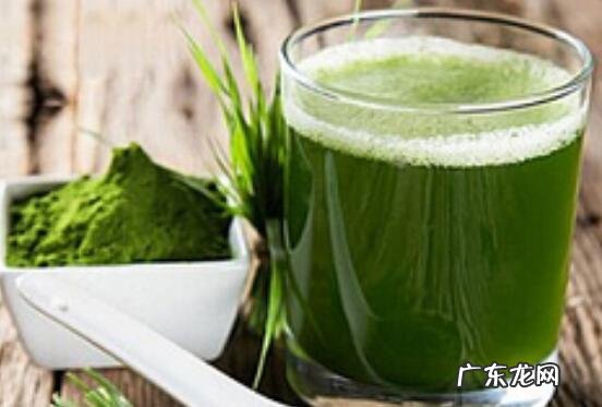 蚂蚁青汁怎么喝才减肥 蚂蚁青汁的副作用有哪些