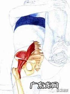 久坐要注意髂腰肌的拉伸