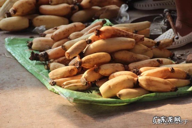 7孔藕和9孔藕哪个好吃 粉藕是七孔还是九孔有什么差别