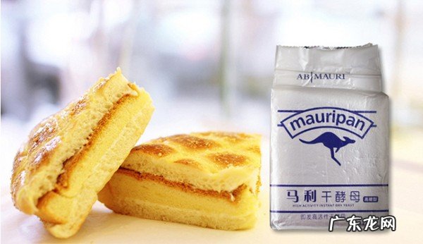 国内酵母粉什么品牌好？干酵母粉品牌排行前十名