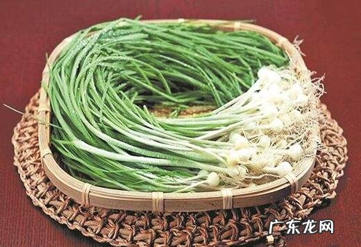 薤白的功效与作用及禁忌