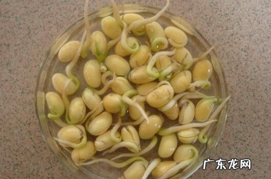用醋快速生豆芽的方法