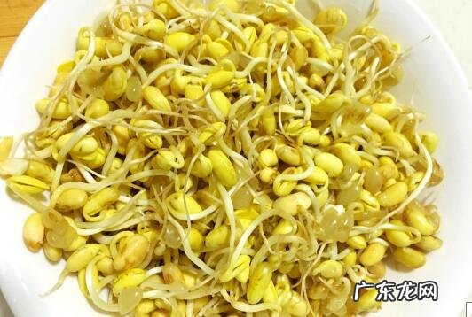 黄豆芽怎么发又粗又快