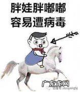 为什么胖的人更易感染病毒？