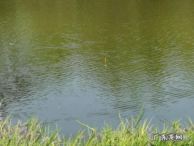 水浮漂 水浮漂图片