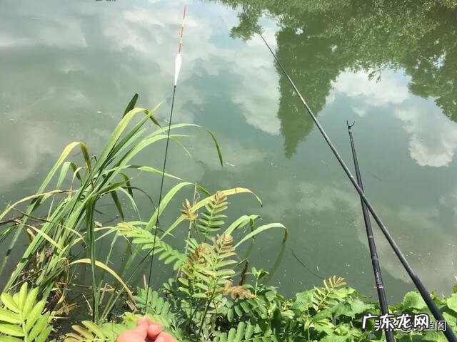 水浮漂 水浮漂图片