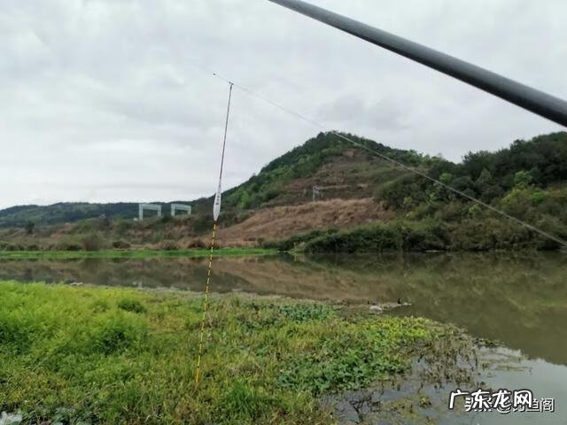 水浮漂 水浮漂图片