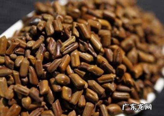 决明子的作用与功效 决明子的食用方法