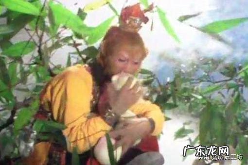 猴子吃水果的时候,为什么只咬一口就扔了?