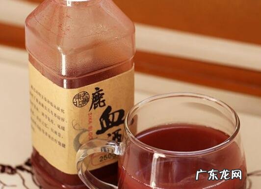 鹿血酒怎么喝效果好 鹿血酒一次喝多少