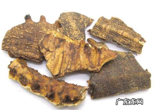 生鳖甲与炙鳖甲的功效区别 鳖甲的功效