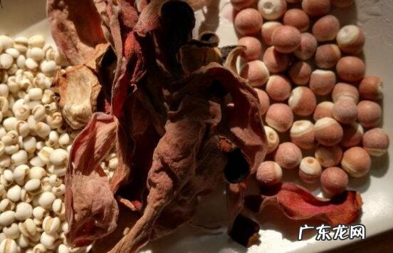 中药木棉花的功效与作用 木棉花的副作用