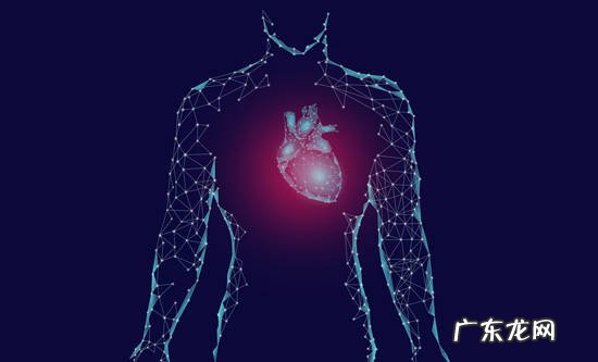 日常生活中预防心脏病的注意事项