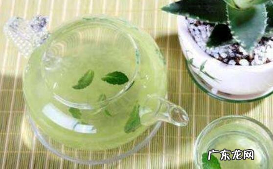 芦荟如何吃 芦荟的食用方法