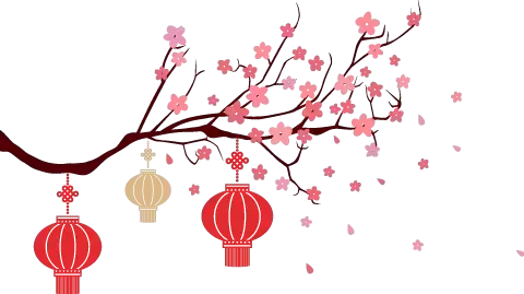 海里的贝类图片及名称 深海贝类有哪些