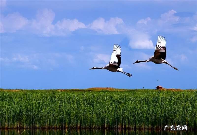 杭州西溪旅游有什么注意事项 杭州西溪湿地好玩吗
