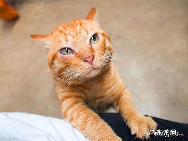 风水轮流转谁说的 风水轮流转为什么这么准