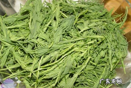 黄须菜与碱蓬菜的区别 黄须菜的功效与作用