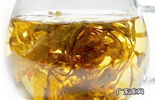 金线莲泡水喝的功效与作用 金线莲泡水喝的好处