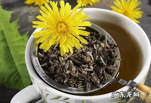 蒲公英茶哪些人不宜喝 女性喝蒲公英茶的禁忌