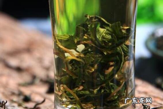 蒲公英茶哪些人不宜喝 女性喝蒲公英茶的禁忌