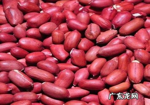 花生的功效与作用及禁忌