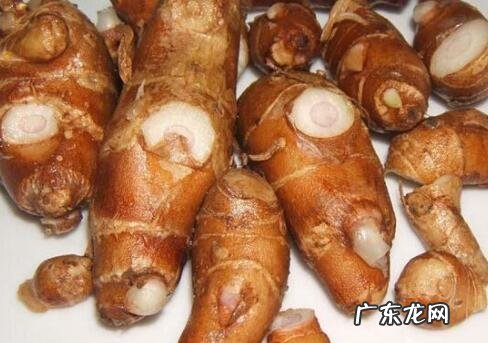 新鲜沙姜怎么吃 沙姜如何食用