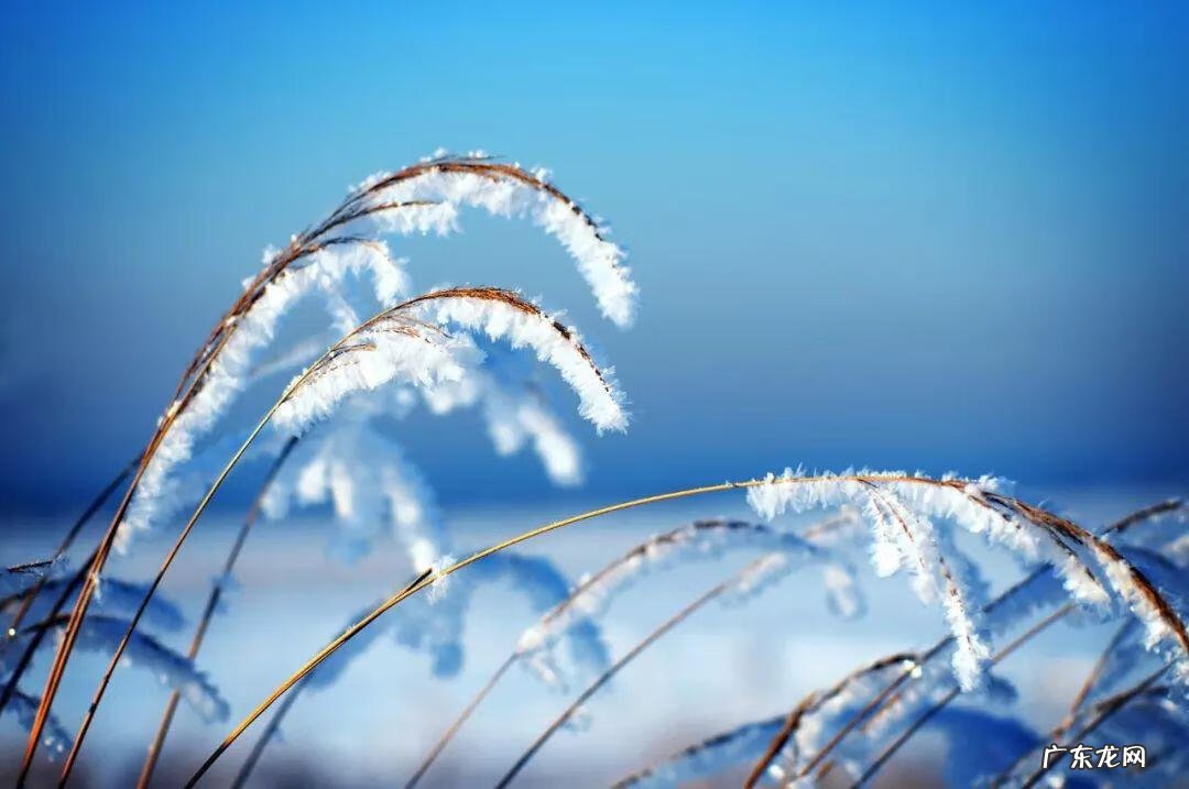 2019年冬至是几月几日 2019年冬至是几月几号