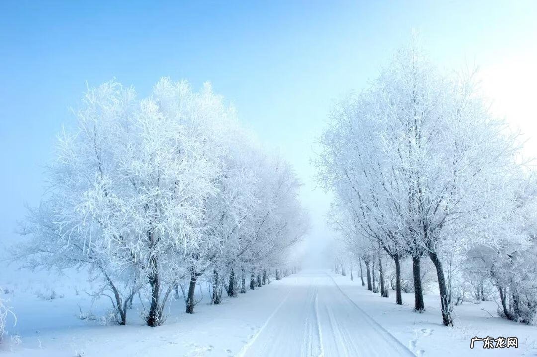 2019年冬至是几月几日 2019年冬至是几月几号