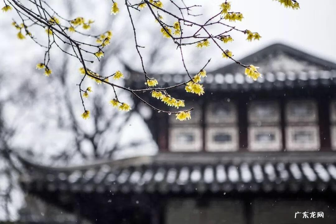 2019年冬至是几月几日 2019年冬至是几月几号