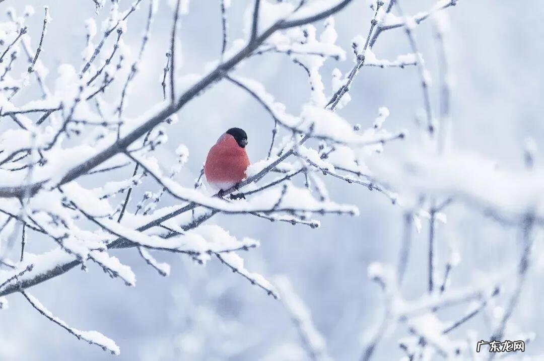 2019年冬至是几月几日 2019年冬至是几月几号