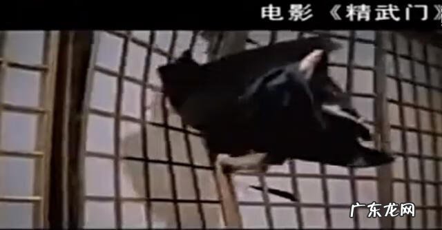 大坪医院李开龙 李小龙 风水