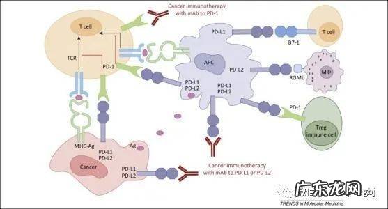 未来带瘤生存如感冒一样普遍?