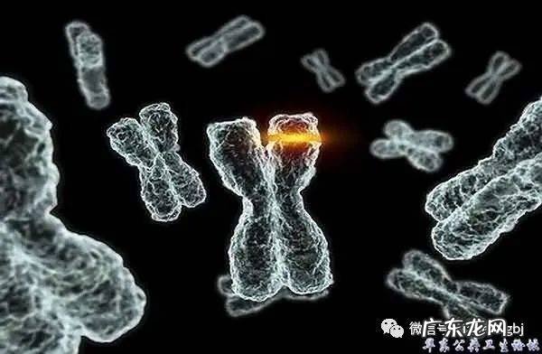 未来带瘤生存如感冒一样普遍?