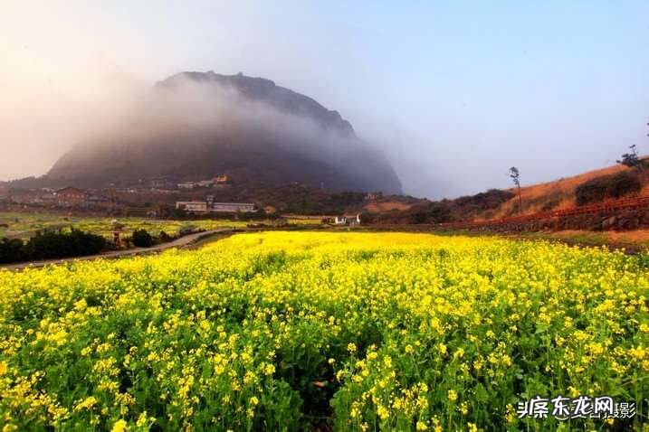 春天的美景拍摄方法 有创意的春天摄影构图技巧