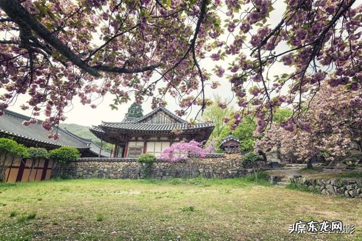 春天的美景拍摄方法 有创意的春天摄影构图技巧