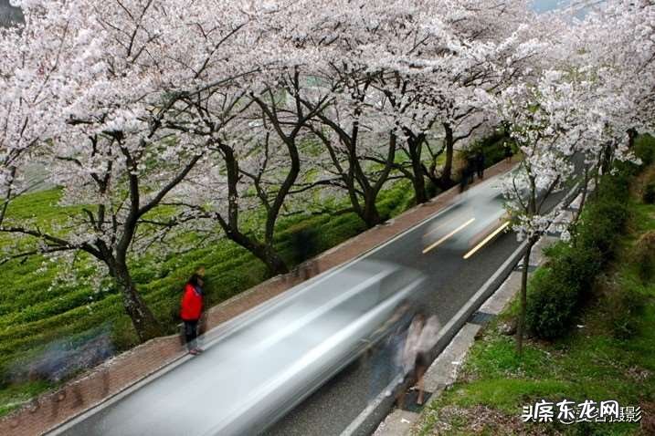 春天的美景拍摄方法 有创意的春天摄影构图技巧